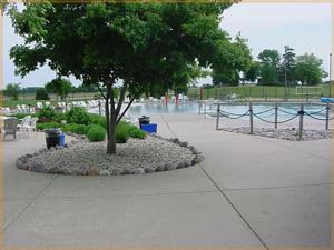 A large tree next to sitting areas and the pool